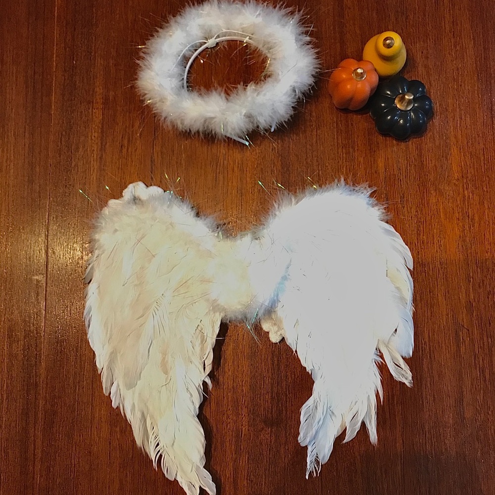 Angel Costume